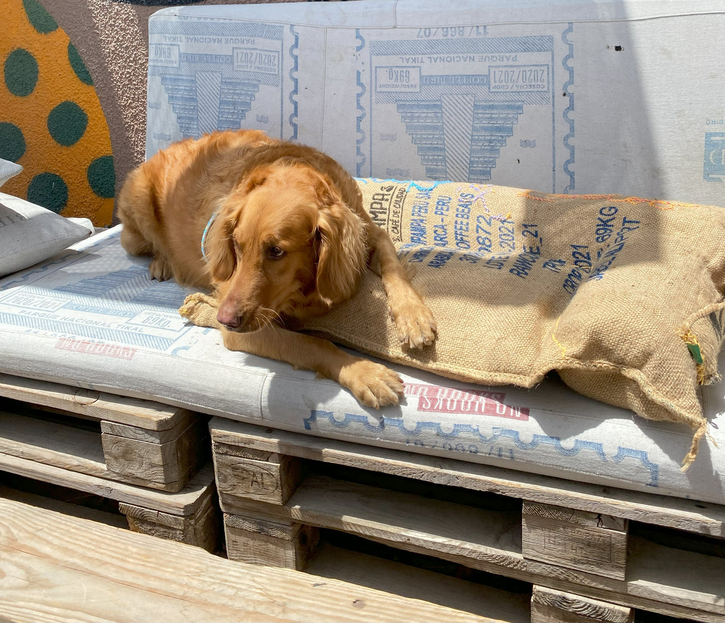 Lucy Recycled Coffee Bag Pet Bed