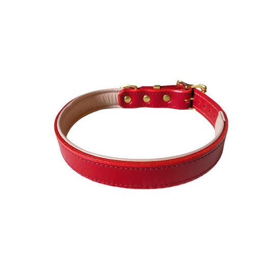 A red padded leather dog collar with brass hardware, including a buckle and a ring, and an embossed gold foil logo on the collar from The Grand Pet Company