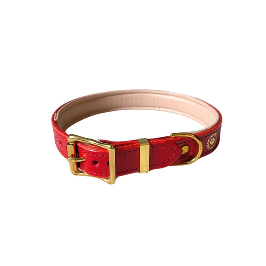 A red padded leather dog collar with brass hardware, featuring an embossed gold foil The Grand Pet Company logo