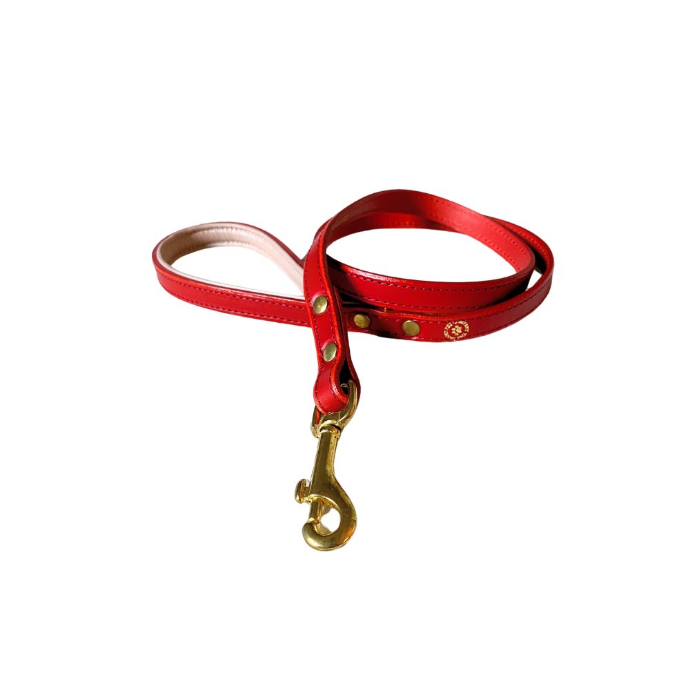 A deep red padded leather dog lead with brass hardware from The Grand Pet Company