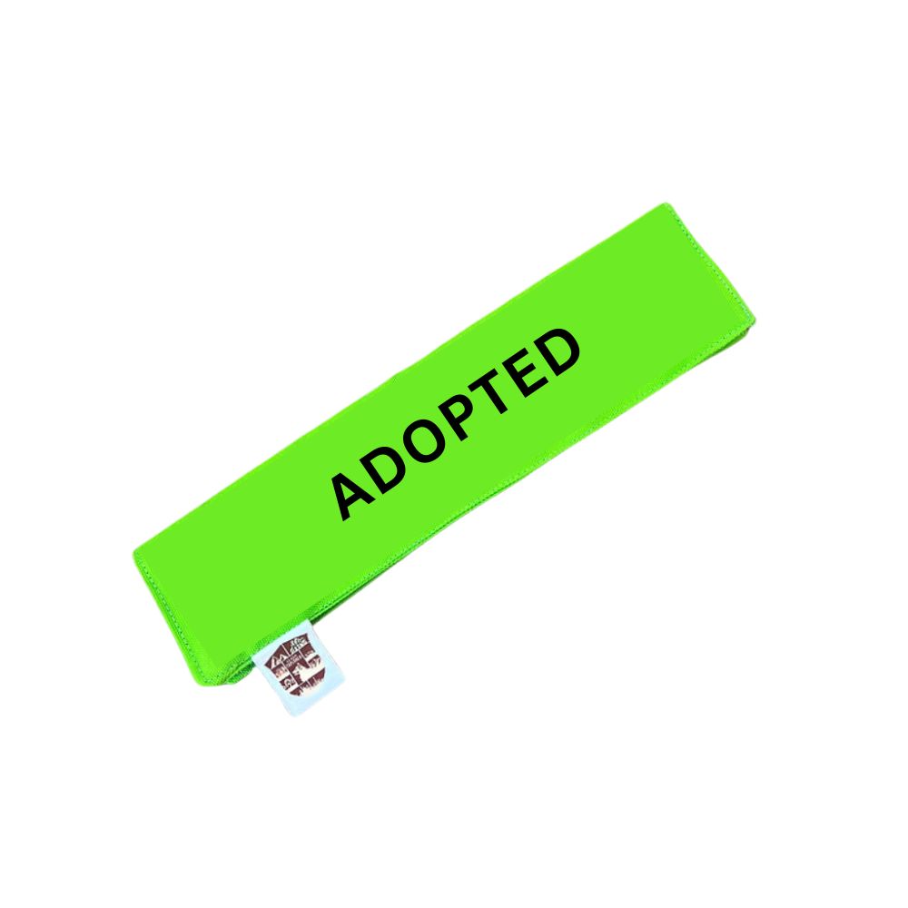 Leash Sleeve - Green