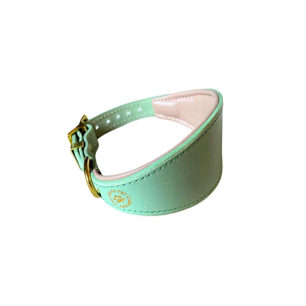 A pistachio green leather dog collar with brass hardware, designed for sighthound breeds from The Grand Pet Company