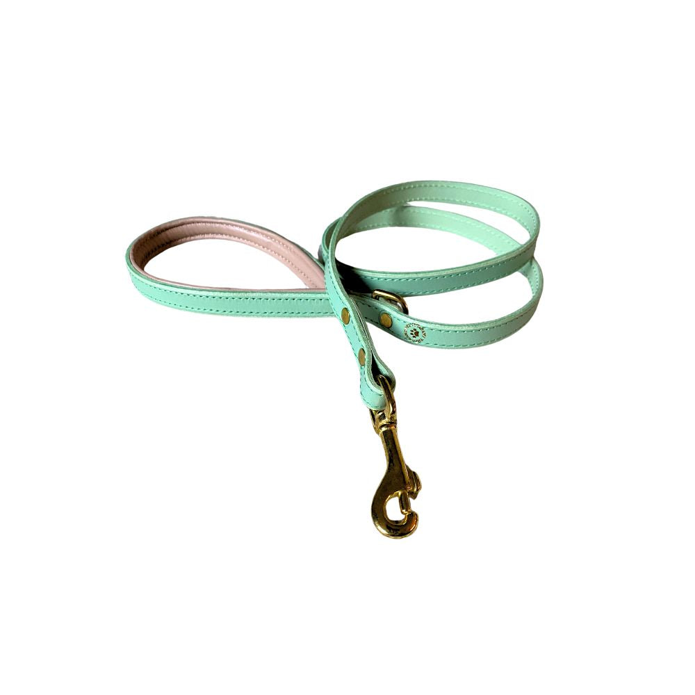 A pistachio green padded leather dog lead with brass hardware from The Grand Pet Company