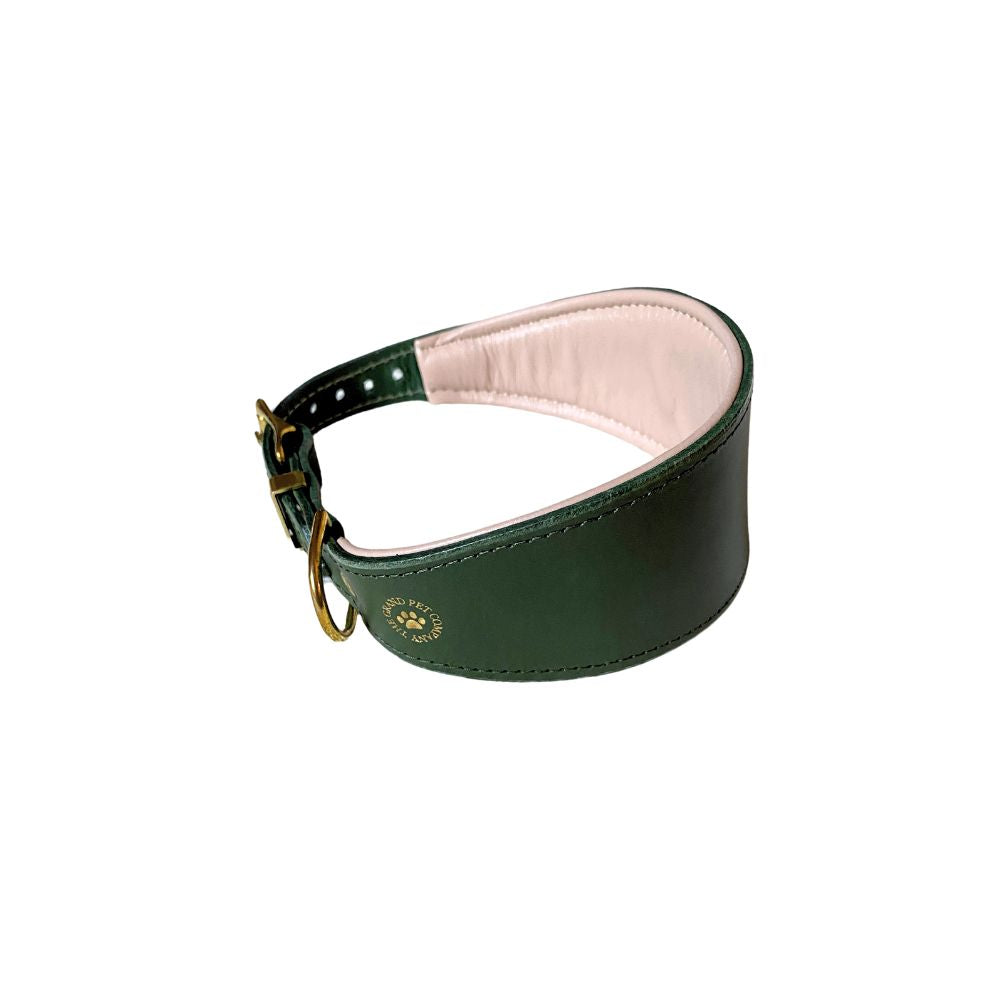 A green leather dog collar with brass hardware, designed for breeds such as greyhounds, salukis, and whippets from The Grand Pet Company