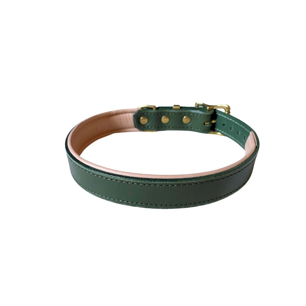 Racing Green padded leather luxury dog collar with brass hardware from The Grand Pet Company