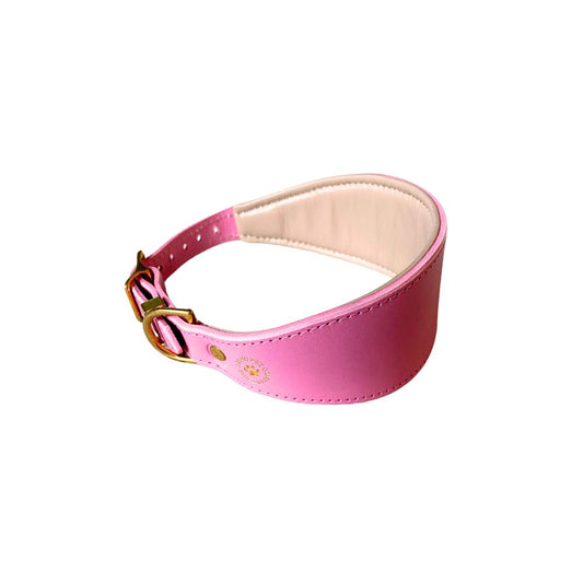 A rose pink leather dog collar with brass hardware, designed for sighthound breeds from The Grand Pet Company