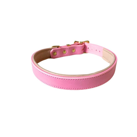 Pink padded leather dog collar with brass hardware, including a buckle and a ring, and an embossed gold foil logo on the collar from The Grand Pet Company