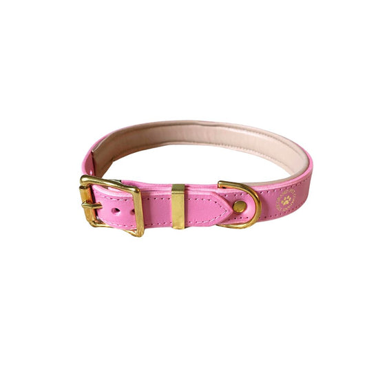 A rose pink padded leather dog collar with brass hardware, including a buckle and ring from The Grand Pet Company