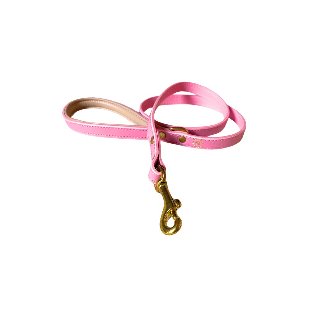 A pink padded leather dog lead with brass hardware from The Grand Pet Company