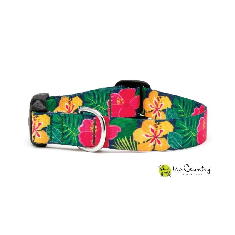 Floral patterned dog collar with colorful hibiscus flowers on a green background, branded 'Up Country'.