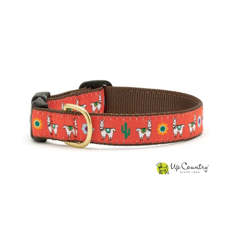 Dog collar with llama pattern on a orange background, brand 'Up Country' visible