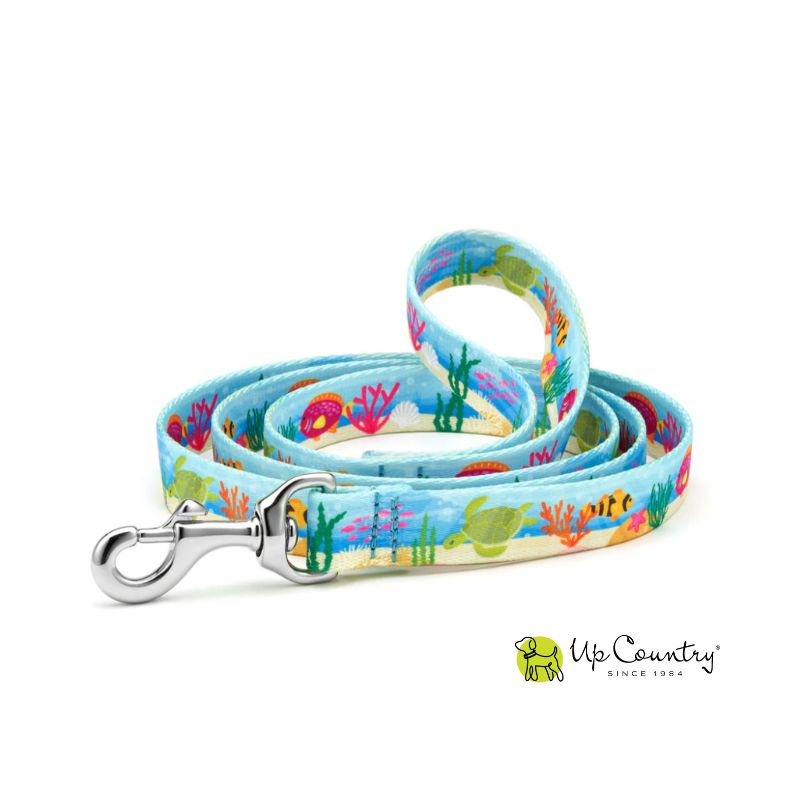 Colorful coral reef-themed dog leash with a silver clasp on a white background, featuring the 'Up Country' brand.