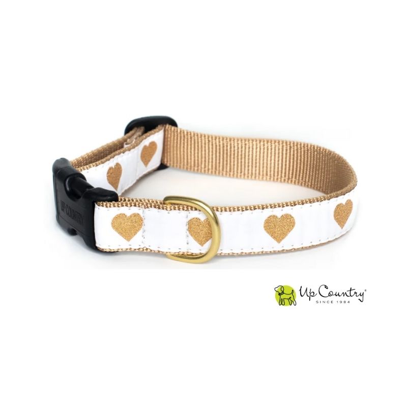 Dog collar with gold hearts on a white background, branded 'Up Country'.