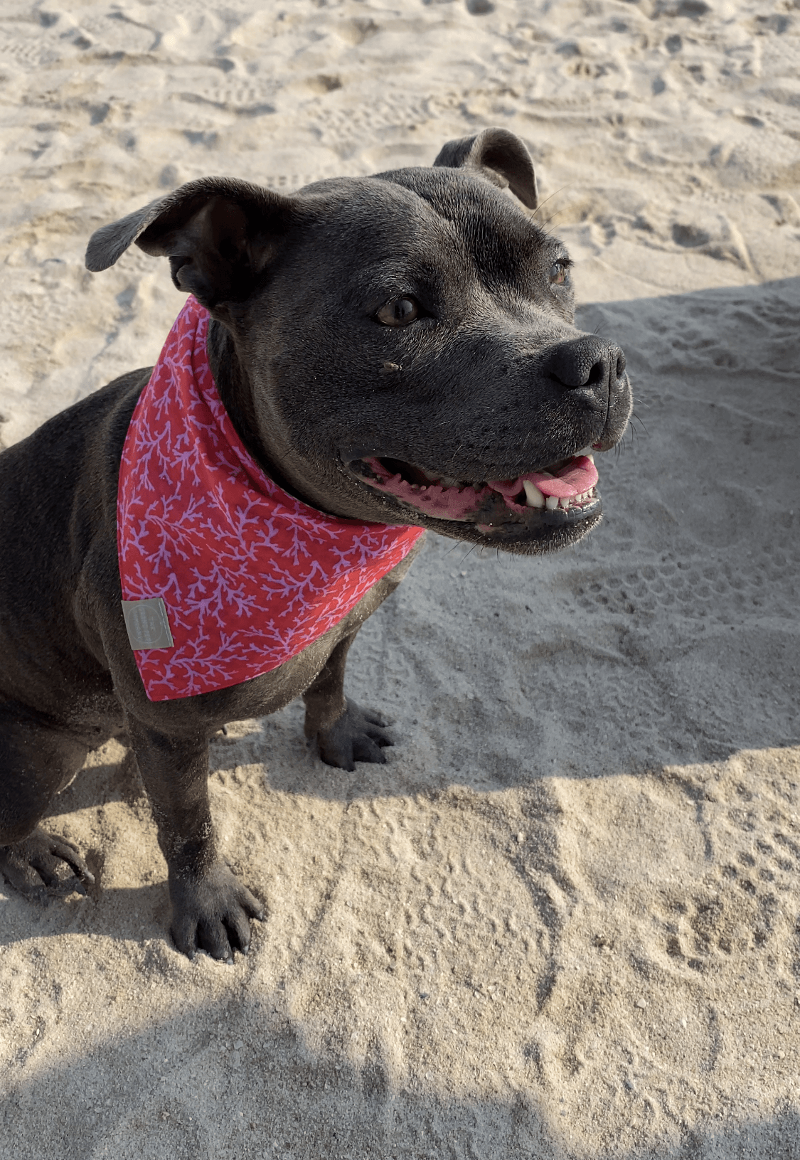 Bandanas