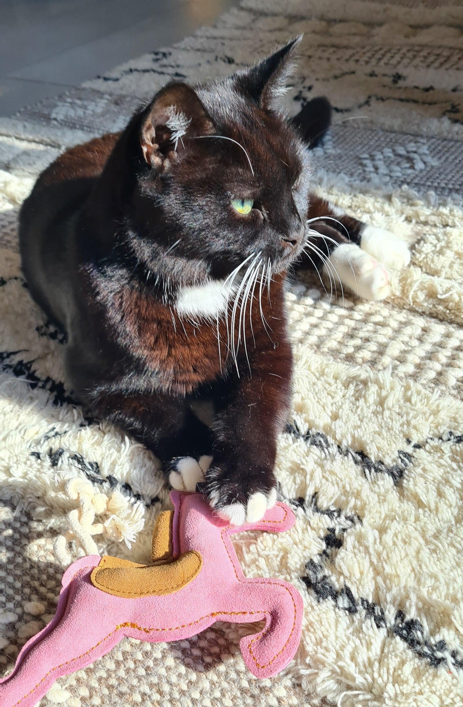 Tuxedo Cat with Una Unicorn Leather Squeaker Toy