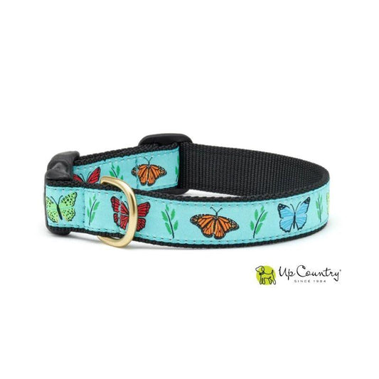 Butterfly Effect Dog Collar