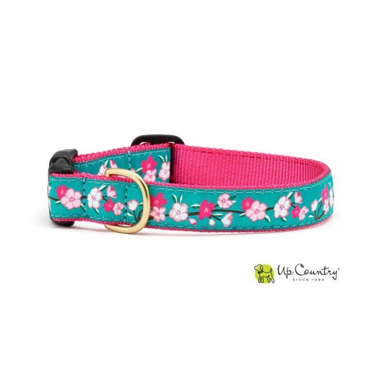 Cherry Blossom Dog Collar