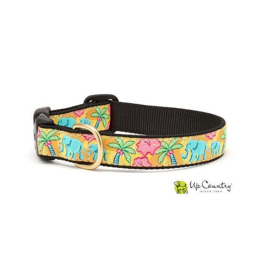 Elephants Dog Collar