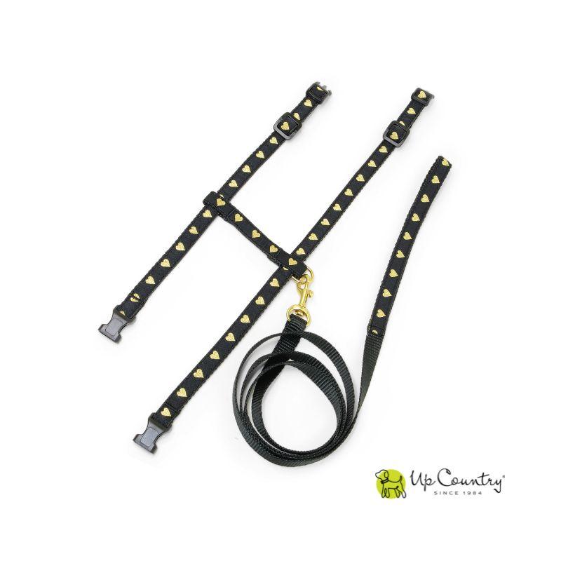 Heart of Gold Cat Harness and Leash Set