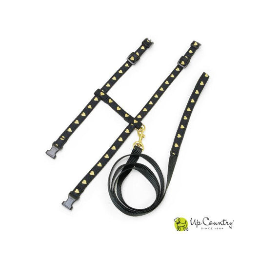 Heart of Gold Cat Harness and Leash Set