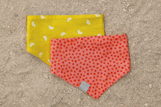 Citrus Pop Reversible Bandana