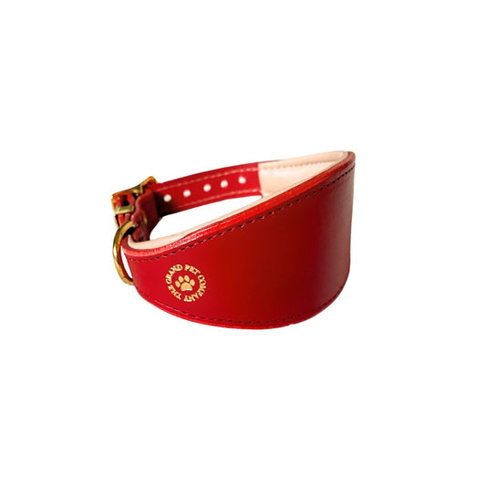 A deep red leather dog collar with brass hardware, featuring a gold foil-embossed logo from The Grand Pet Company