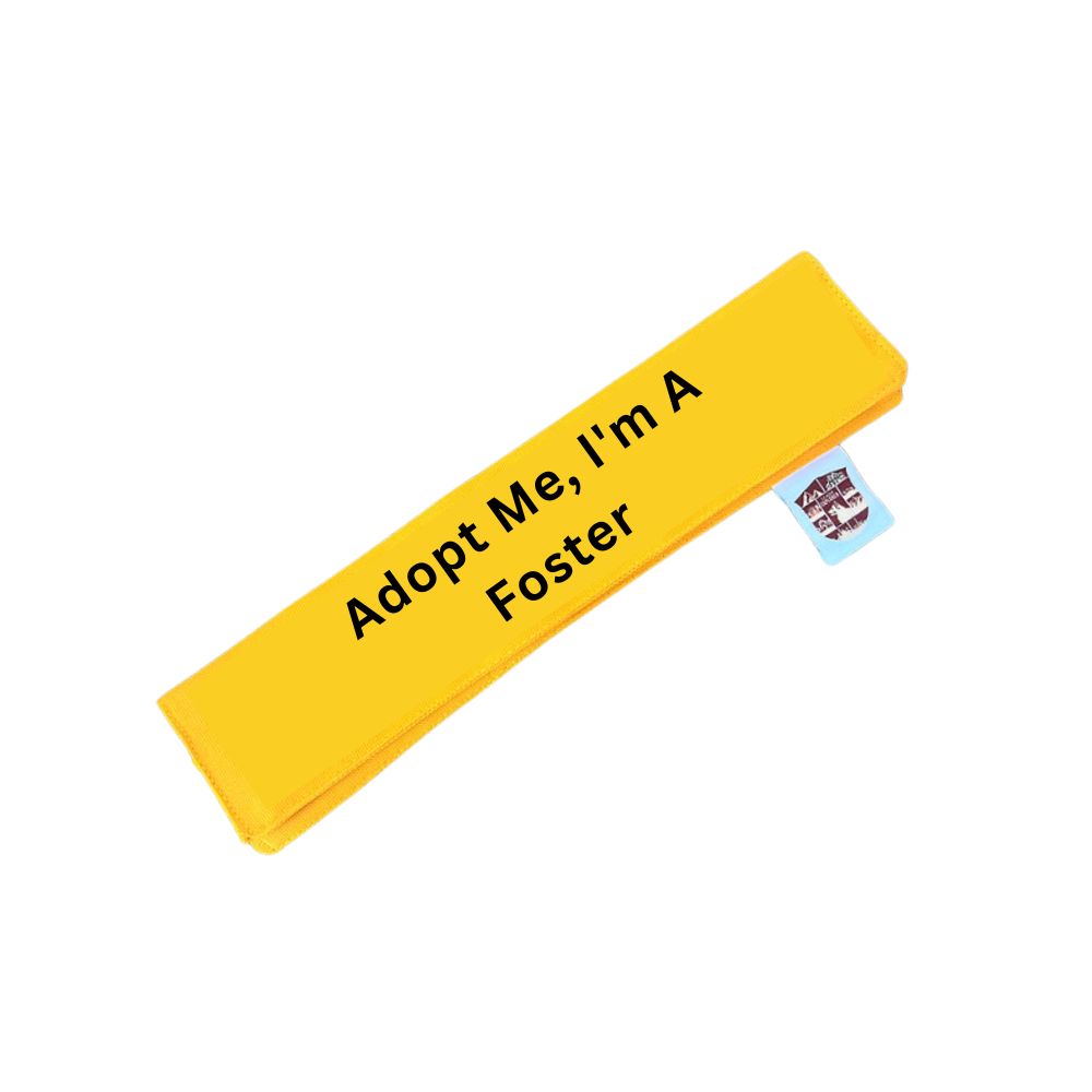 Leash Sleeve - Yellow