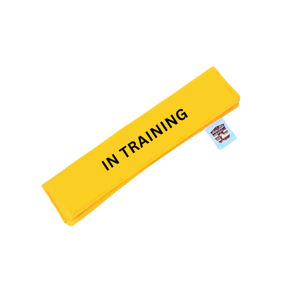 Leash Sleeve - Yellow