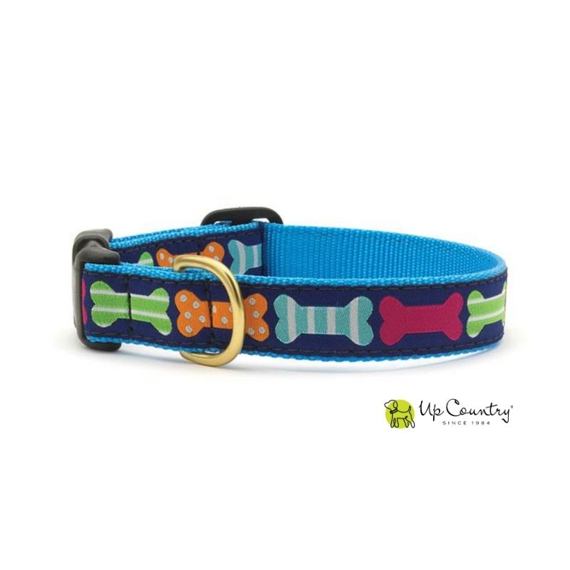 Dog collar with colorful bone pattern on a blue background, brand 'Up Country' visible.