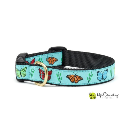 Dog collar with butterfly design on a light blue background, brand 'Up Country' visible.