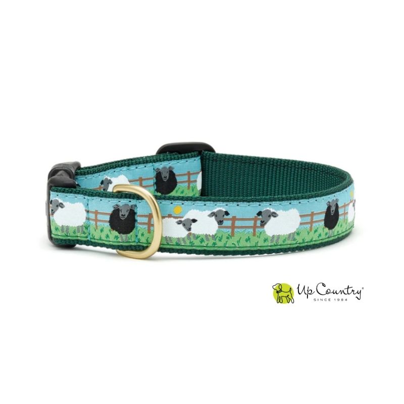 Dog collar with sheep in the fields design on green webbing