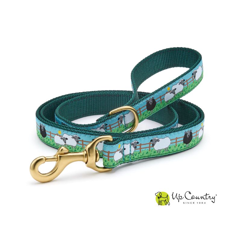 Dog leash with sheep pattern and gold clasp on a white background, featuring the 'Up Country' brand.
