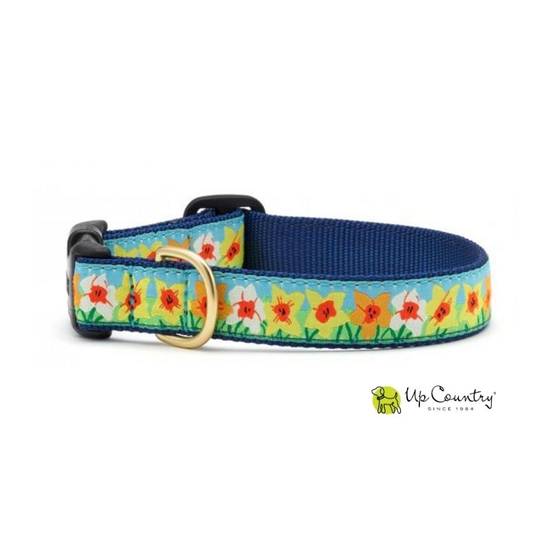 Dog collar with floral daffodil design on a navy webbing