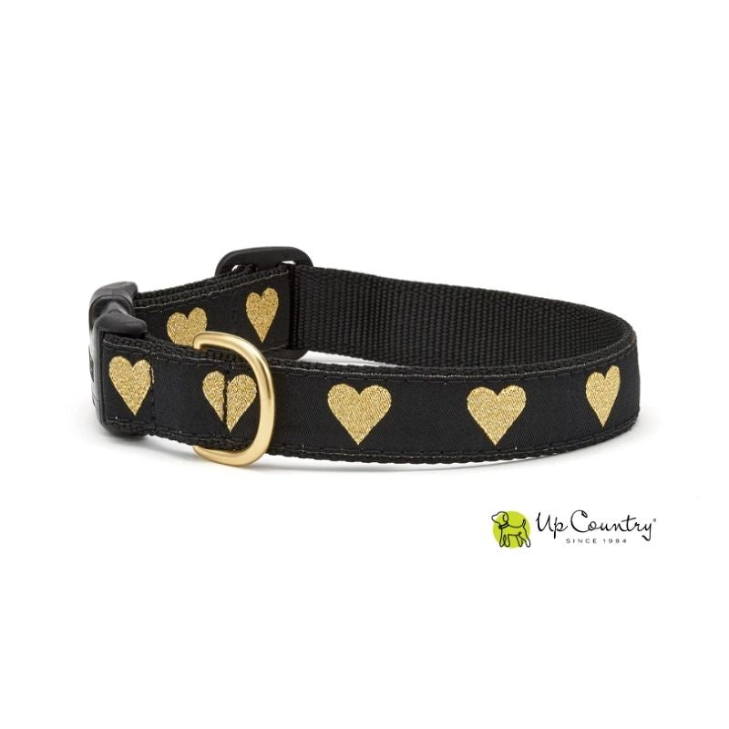 Black dog collar with gold hearts and a gold buckle on a white background, featuring the 'Up Country' brand.