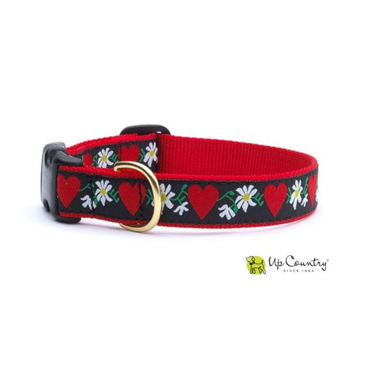 Dog collar with red hearts and white flowers on a black background and red webbing, featuring 'Up Country' brand.