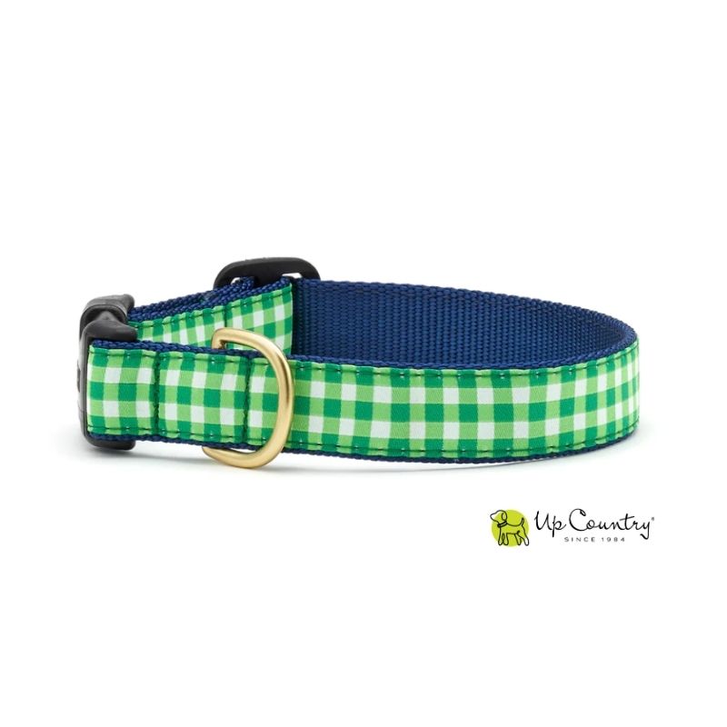 Green checkered dog collar with gold buckle on a navy blue webbing