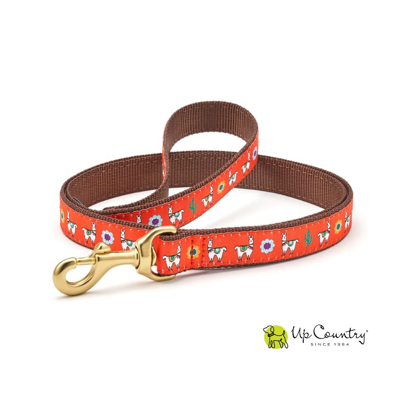 Dog leash with colourful llama pattern on an orange background, featuring the 'Up Country' brand.