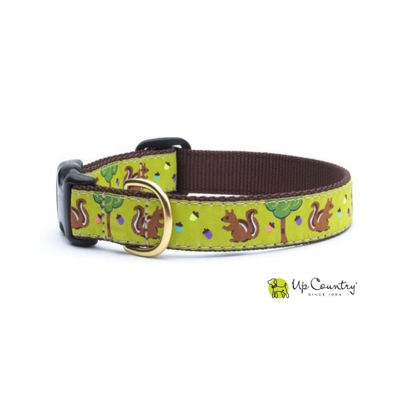 Dog collar with a colourful squirrel and acorns design on a brpwn webbing