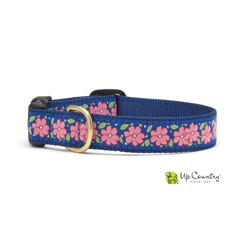Dog collar with pink floral pattern on a navy webbing on a white background