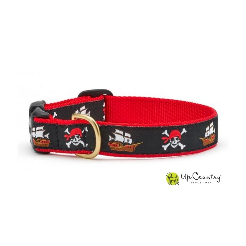 Pirate-themed dog collar with red and black design on a white background