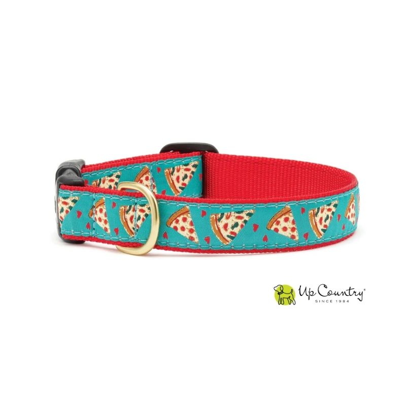Dog collar with pizza pattern on a turquoise background, brand 'Up Country' visible.