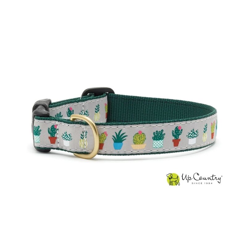 Dog collar with cactus pattern on a silver background and ark green webbing.