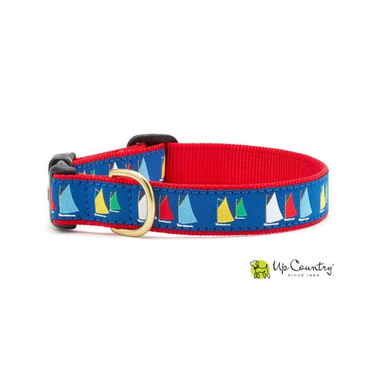 Dog collar with a colourful sailboat pattern on a blue background, featuring a red strap and gold buckle.