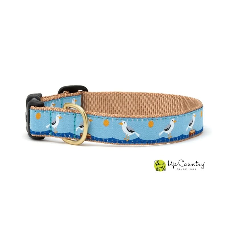 Dog collar with seagull design on a blue background and brass D-ring, featuring the brand 'Up Country'.