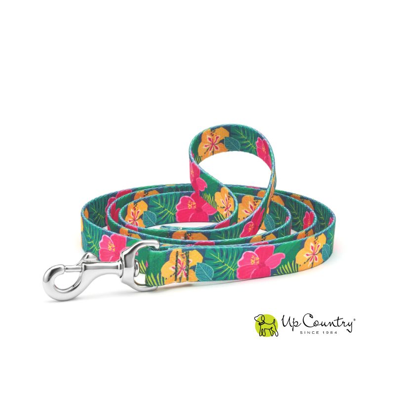Floral patterned dog leash with a marine-grade stainless steel clip on a white background, featuring the 'Up Country' brand.