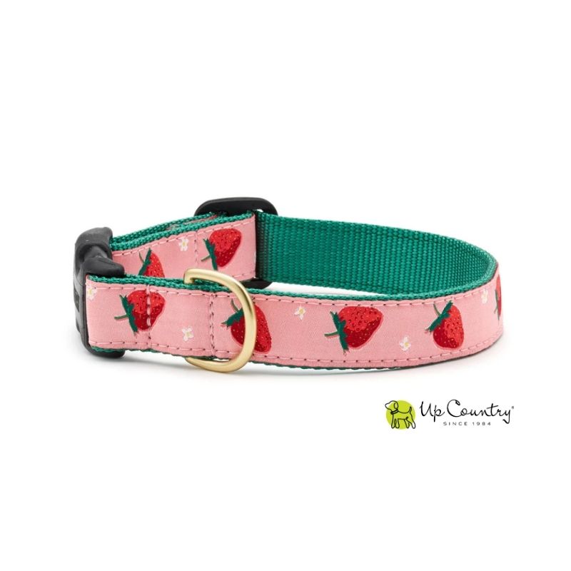 Dog collar with strawberry pattern on a pink background with brass D-ring, brand 'Up Country' visible.