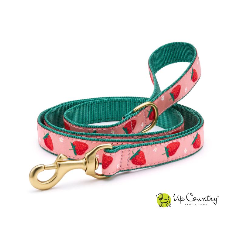 Dog leash with strawberry pattern and gold clasp on a white background, featuring the 'Up Country' brand.
