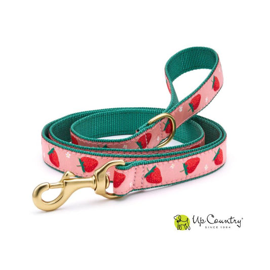 Dog leash with strawberry pattern and gold clasp on a white background, featuring the 'Up Country' brand.