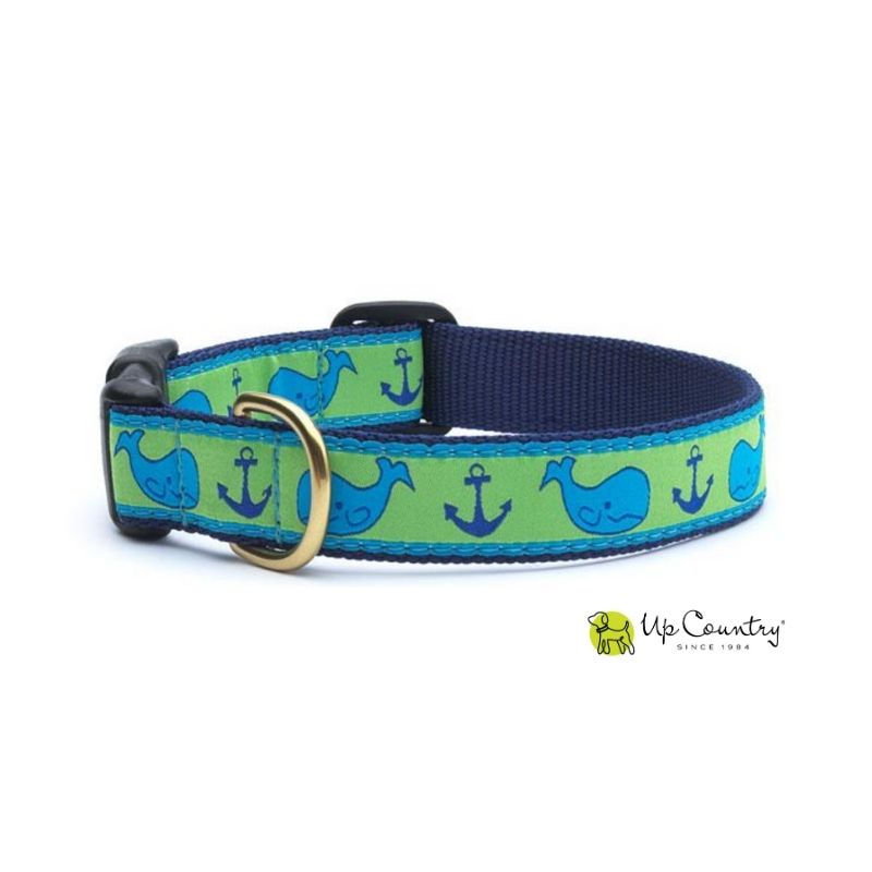 Dog collar with whale and anchor pattern with brass D-ring on a white background
