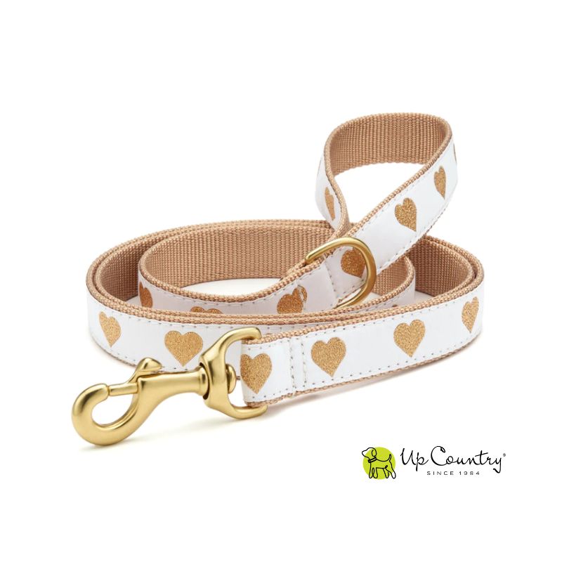Dog leash with gold heart pattern and brass clasp on a white background, featuring the 'Up Country' brand.